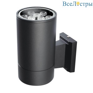Уличный настенный светодиодный светильник Jazzway PWL-200110/30D 2857965B