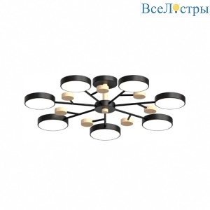 Люстра на штанге LED4U L3205-800 BK