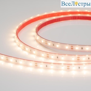 Светодиодная лента герметичная Arlight RTW-PS-A60-10mm 12V Warm2700 (4.8 W/m, IP67, 2835, 5m) 028506(2)