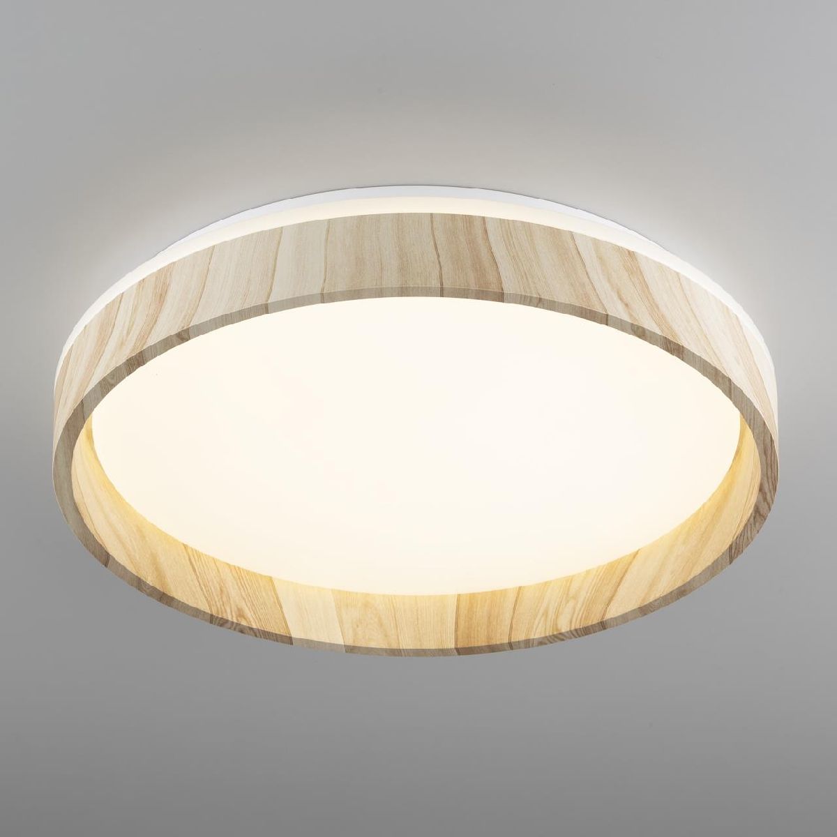 потолочный светильник citilux enzo cl753352g
