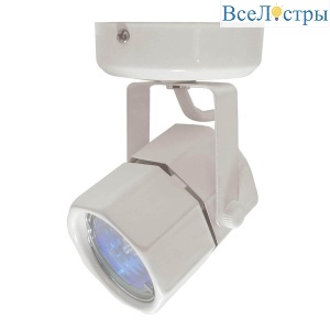Спот ЭРА OL2 GU10 WH Б0044259