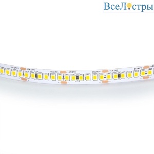 Светодиодная лента Lightstar 24W/m 240LED/m дневной белый 5M 421024