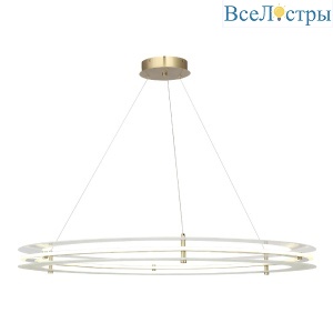 Подвесная люстра ST Luce Fagy SL6245.213.01