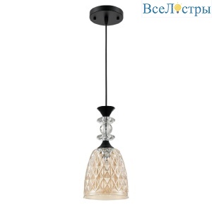 Подвесной светильник Lumion Suspentioni Elenika 8056/1A