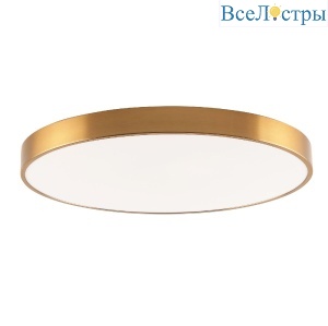 Потолочный светильник Zortes Tortty ZRS.02566.96