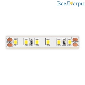 Светодиодная лента ST Luce ST1001.310.65