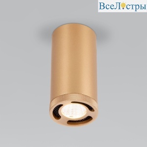 Накладной светильник Elektrostandard Lead 25033/LED 4690389192975 a062523