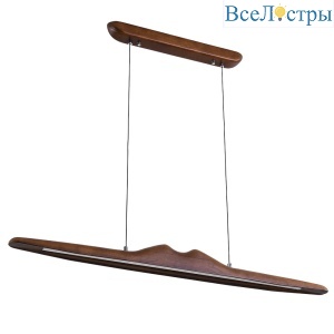 Подвесная люстра Arte Lamp Conca A4286SP-19BK