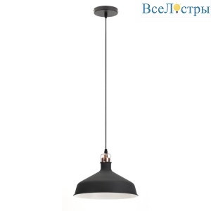 Подвесной светильник ЭРА PL2 BK/RC Б0037413