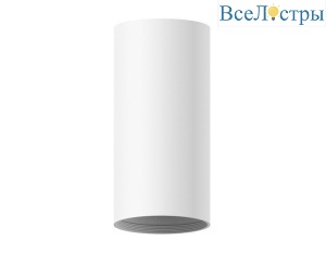 Корпус светильника Ambrella light DIY Spot C7442
