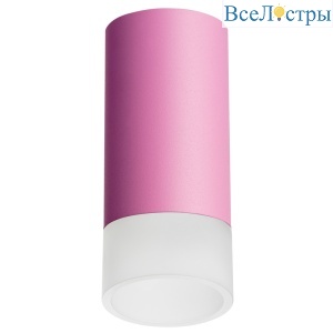 Накладной светильник Lightstar Rullo R43231 (214432+202431)
