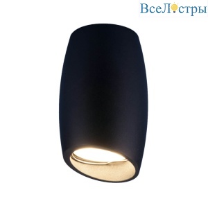 Накладной светильник Elektrostandard DLN002 MR16 BK черный