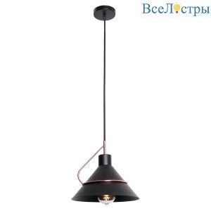 Подвесной светильник Lussole Lgo Bossier LSP-8265