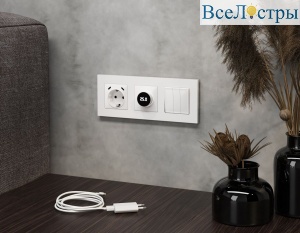 Комплект механизма электрической розетки 2USB С+C 20W с/з на винтовых зажимах 16A-250V Alfa Белый глянец Quant Ambrella Volt MA110510 (AP1105, VM165)