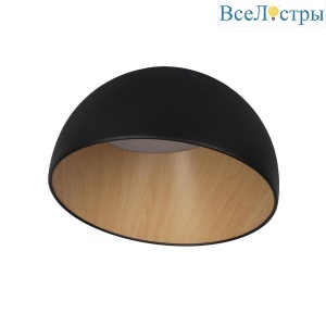 Потолочный светодиодный светильник Loft IT Egg 10197/350 Black