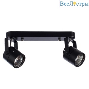 Спот Arte Lamp Mizar A1311PL-2BK