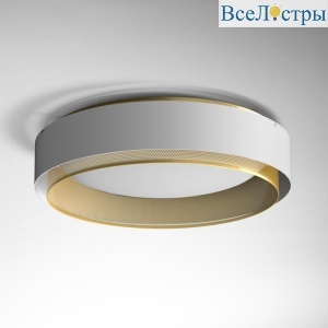 Потолочный светильник Imperium Loft Casing 189557-26