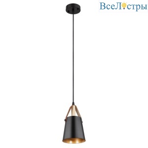 Подвесной светильник Arte Lamp Thomas A7032SP-1BK