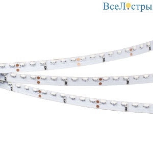 Светодиодная лента Arlight RS 2-5000 24V Day 2x (335, 600 LED) (Arlight, 9.6 Вт/м, IP20) 019946