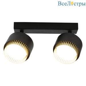 Спот General Матрикс GWL-2GX53-M-IP20 662675