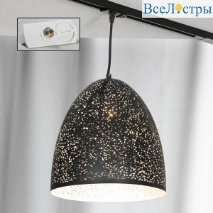 Трековый светильник однофазный Lussole LOFT Port chester Track Lights LSP-9892-TAW