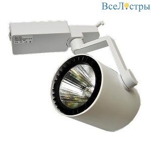 Трековый светодиодный светильник Elvan ST-01-30-NH-WH
