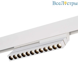 Трековый светодиодный светильник ST Luce ST805.536.12