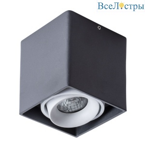Потолочный светильник Arte Lamp Pictor A5654PL-1BK
