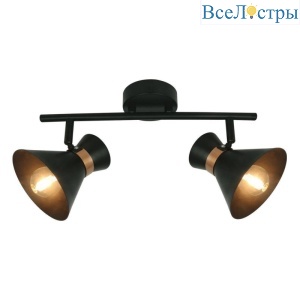 Спот Arte Lamp Baltimore A1406AP-2BK