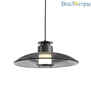 Подвесной светильник Delight Collection 8665P/L black/smoky