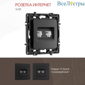 Розетка RJ45 Arte Milano 217.45-2.black