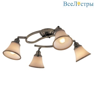 Спот Citilux Прованс CL511143