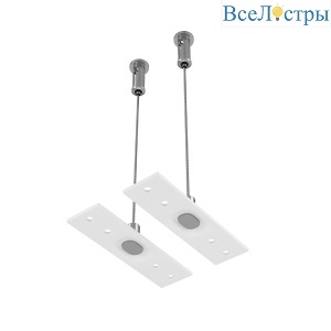Подвес тросовый (2 шт.) Maytoni Magnetic track system Exility TRA034SW-2W