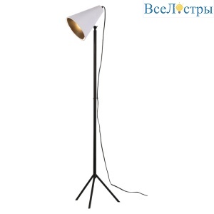 Торшер Lussole Lgo COZY GRLSP-0564