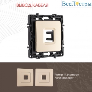 Вывод кабеля Arte Milano 217.49-1.shampan