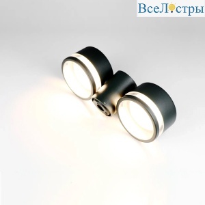 Уличный настенный светильник General GWL-2GX53-M-IP65 662493