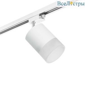 Трековый светильник Lightstar Rullo (213486+592086+202481) R1T348681
