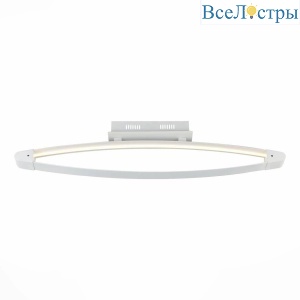 Потолочный светодиодный светильник ST Luce SL920.102.01