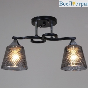 Потолочный светильник Reluce 06089-0.3-02 BK+CR