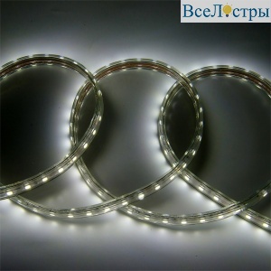 Светодиодная лента General GLS-5050-60-14.4-220-IP67-6 504715