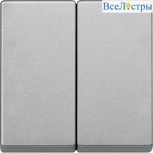 Клавиша двойная Schneider Electric Merten System M MTN433560