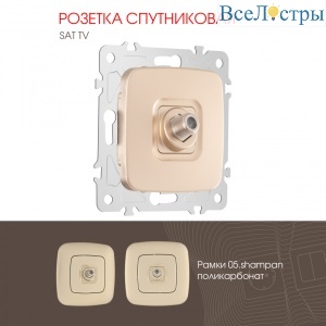Розетка спутниковая SAT TV Arte Milano 205.42-1.shampan