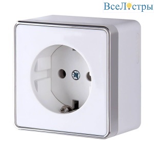 Розетка с заземлением Werkel Gallant белый W5071001 4690389164460
