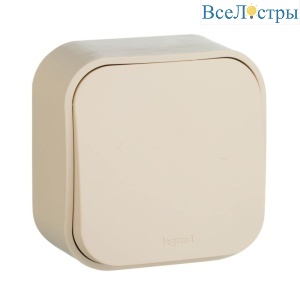 Выключатель одноклавишный кнопочный Legrand Quteo 6A 250V слоновая кость 782235