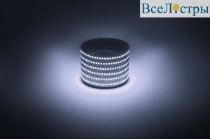 Светодиодная лента Эра 12В 2835 19,2Вт/м 6500K 5м IP20 LS2835-19,2-240-12-6500K-IP20-1 year-5m Б0059908