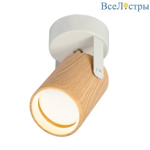 Спот IMEX SP.034-21-86