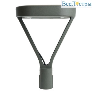 Уличный светодиодный светильник Feron SP7030 48759