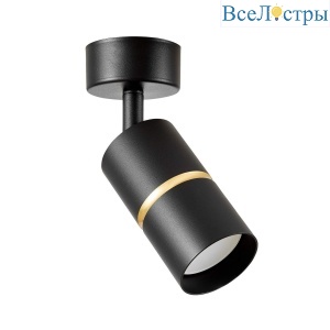 Спот Lampit Asti TS TK40-C1 BK+GD
