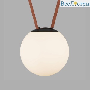 Трековый однофазный светильник Denkirs Belty Orb DK5553-BK