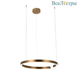 Подвесной светодиодный светильник Loft IT Ring 10013L